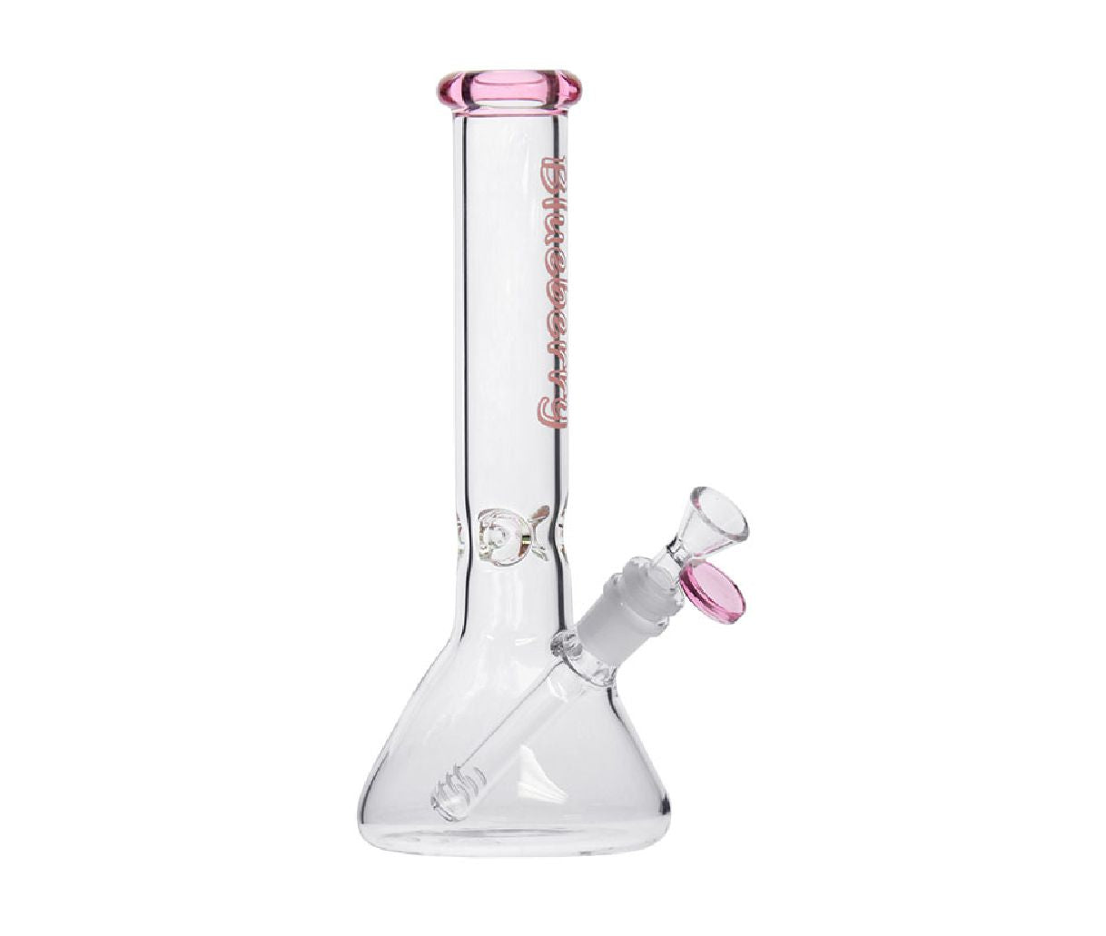 Blueberry 11" Mini Beaker